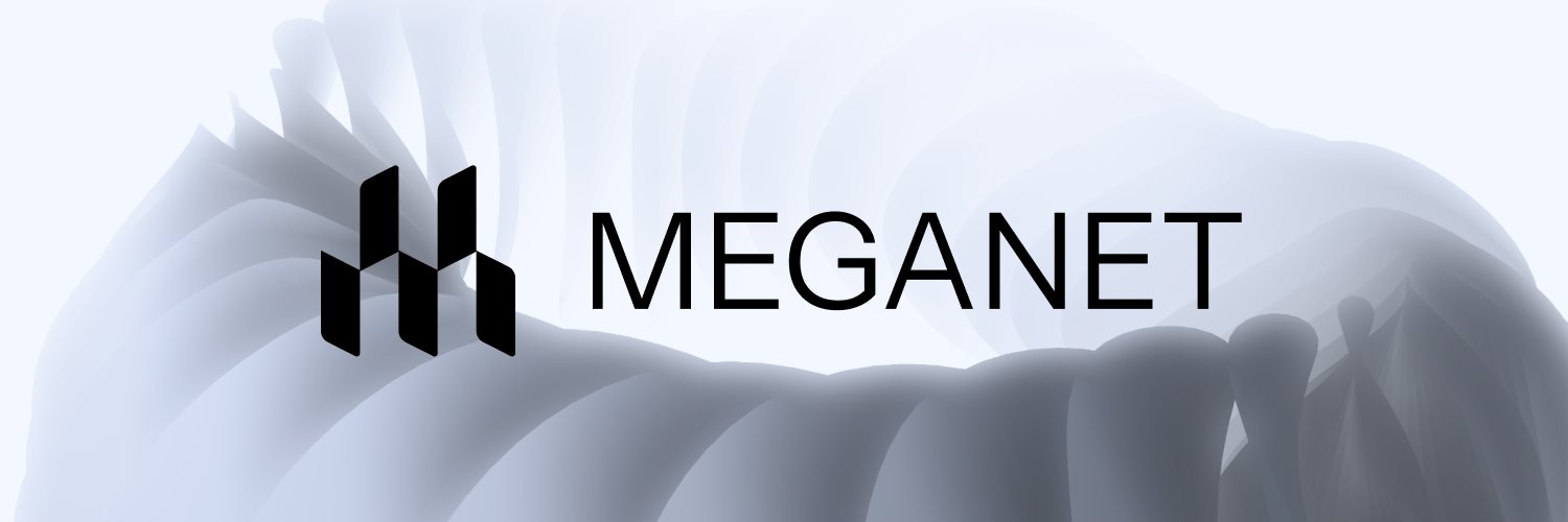 Meganet Network
